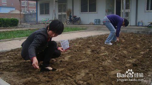 教你如何種花