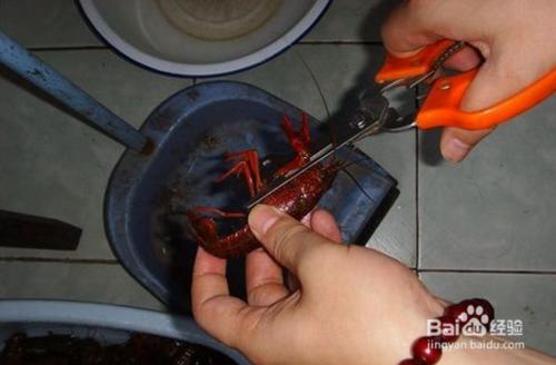 龍蝦怎麼清洗方法
