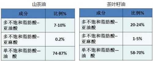 如何區分山茶油與茶葉籽油?