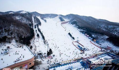 韓國陽智松林滑雪場旅遊攻略