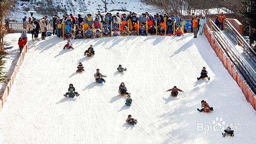 韓國陽智松林滑雪場旅遊攻略