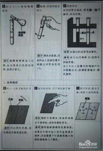 怎樣掌握用雙縮脲反應檢測蛋白質的方法