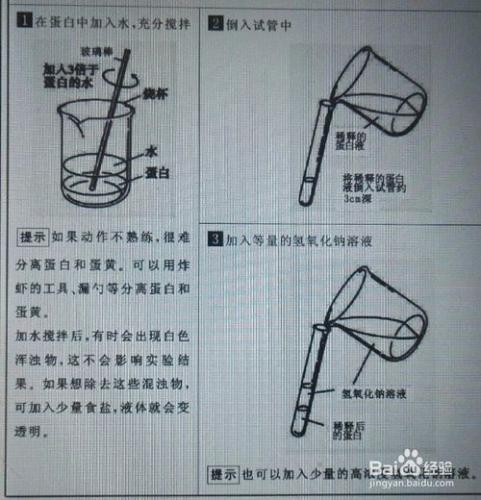 怎樣掌握用雙縮脲反應檢測蛋白質的方法