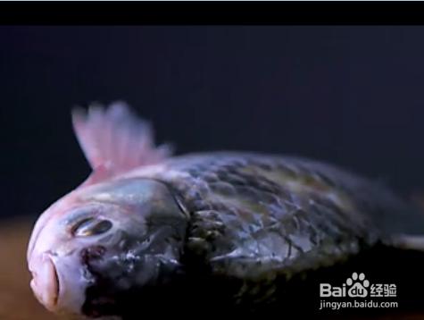 鯽魚豆腐湯－美味佳餚