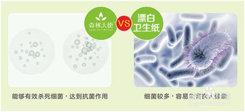 本色紙與其他衛生紙的區別