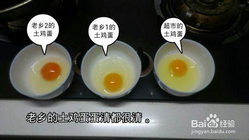 簡單的真假土雞蛋鑑別法