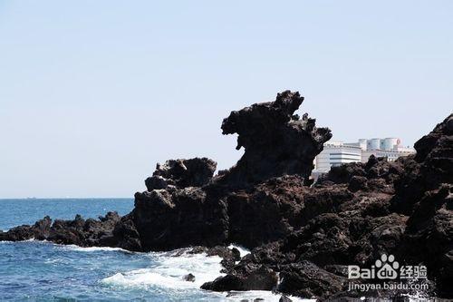 美麗之旅——韓國濟州島遊