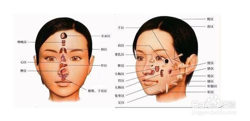 怎樣從臉上看五臟的健康狀況
