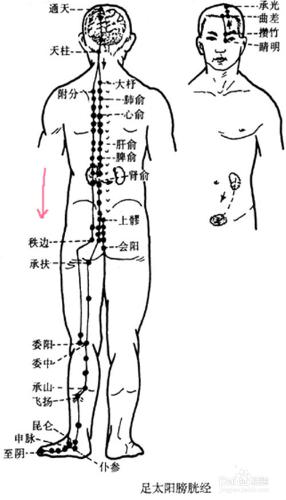 刺激人體穴位增強健康的作用