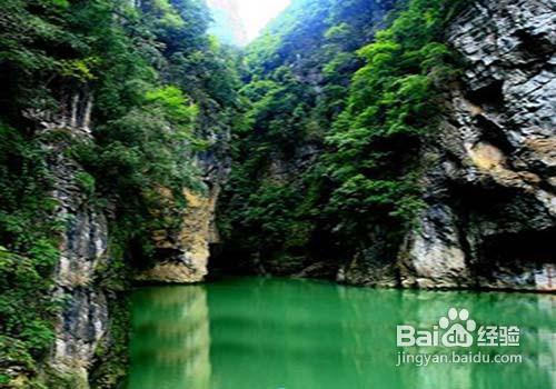 夏天心情浮躁怎麼辦