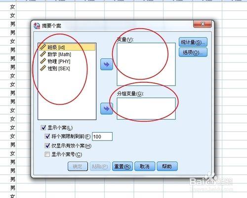 Spss軟體使用教程：[12]個案摘要報告