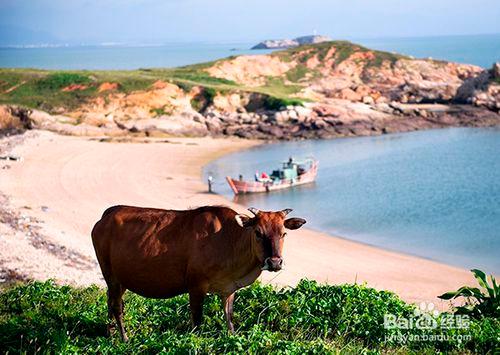 福州周邊適合露營、好玩的海島