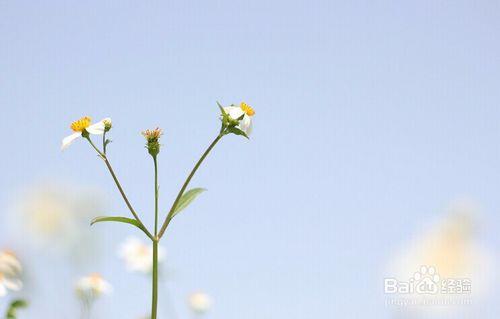 如何按摩改善便祕