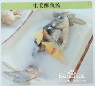 生薑鯽魚湯適用於輔助治療胃脘隱痛、喜熱飲食。