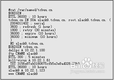 Linux系統下動態DNS服務的詳細配置教程