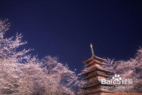 日本留學的五項審查措施