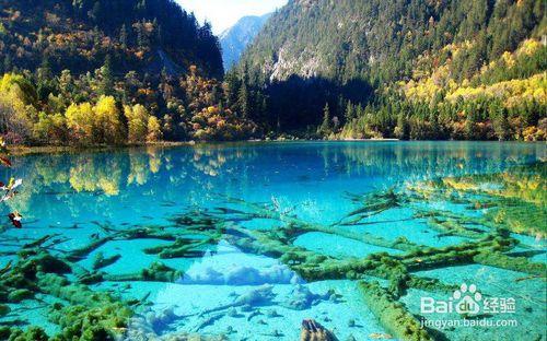 旅遊中國之水域和岩溶景觀