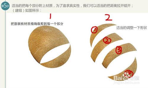 PS製作獼猴桃被旋轉切開的動感瞬間