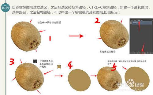 PS製作獼猴桃被旋轉切開的動感瞬間