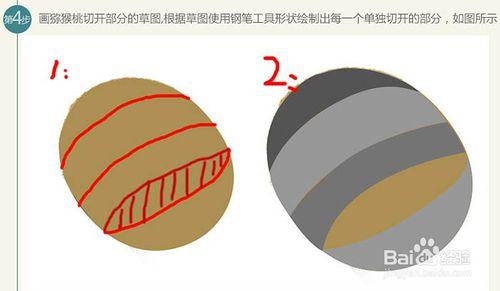 PS製作獼猴桃被旋轉切開的動感瞬間