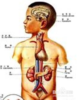 成人磨牙症的危害與治療方法