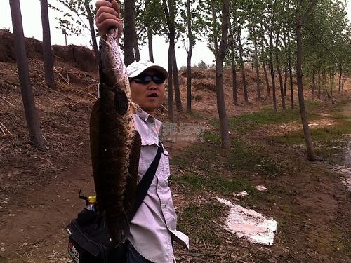 【釣魚】路亞釣法釣黑魚