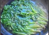應季青菜山野菜的保鮮辦法，多久都不會變壞！