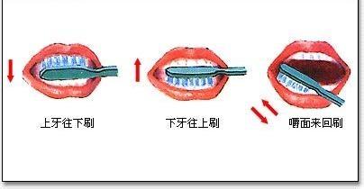 你知道怎麼用正規的刷牙流程保護我們的牙齒嗎？