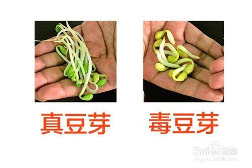 舌尖上的315——真假食品大揭祕