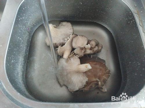 教你如何清洗蘑菇