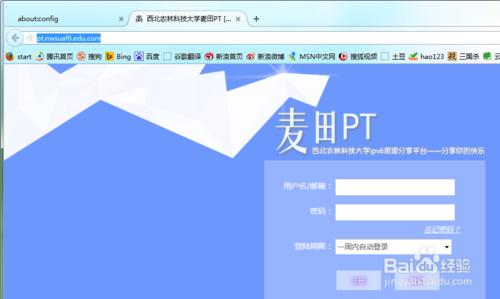 火狐無法開啟ipv6網站