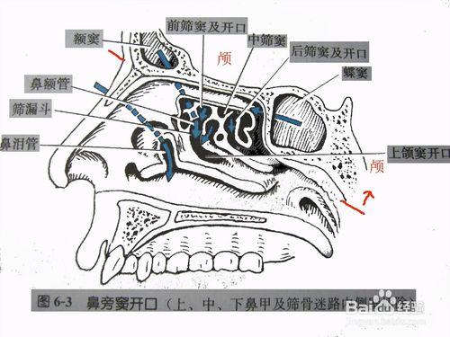 怎樣練出一個好聲音