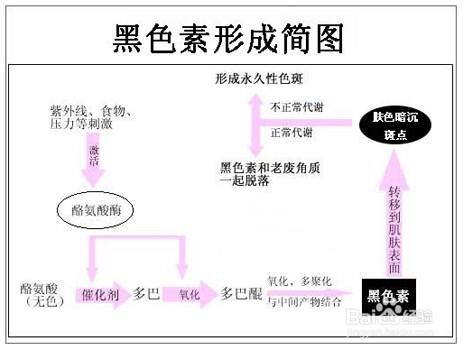 關於維生素C在護膚方面的功效