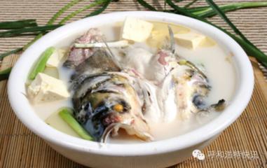 四季養生——湯補 第七章：大蒜豆腐魚頭湯