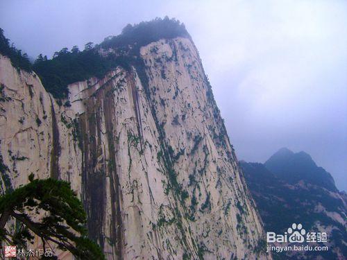 華山驚險兵馬俑探祕延安革命精神壺口瀑布自駕遊