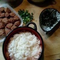 日式鰻魚梅乾茶泡飯