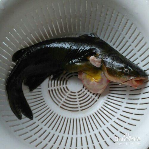 昂刺魚燉豆腐