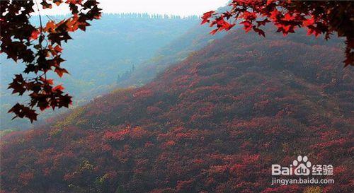 10月國慶節假期，適合去哪裡旅遊呢？