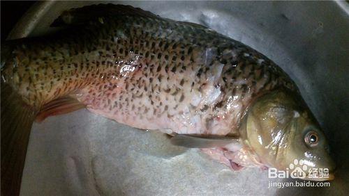 家常菜之家常鯉魚