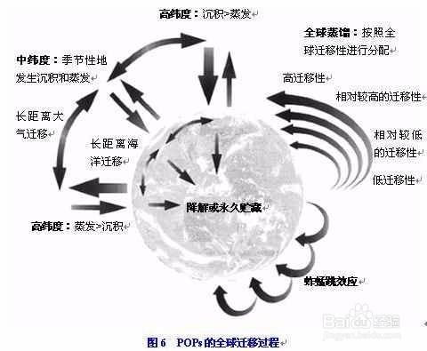 POPs對人類有哪些的影響？