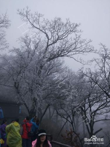 清明、五一適合去哪裡玩？老君山自駕旅遊