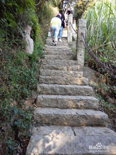 深圳塘朗山登山經驗