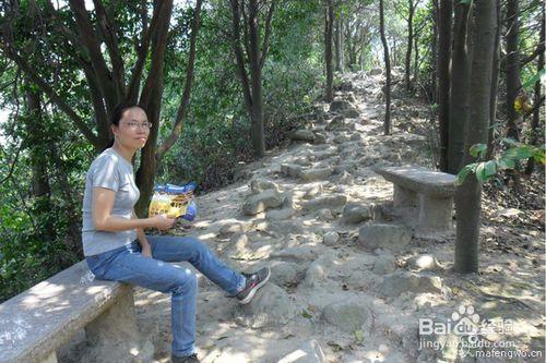 深圳塘朗山登山經驗