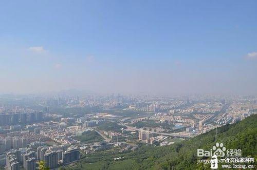 深圳塘朗山登山經驗