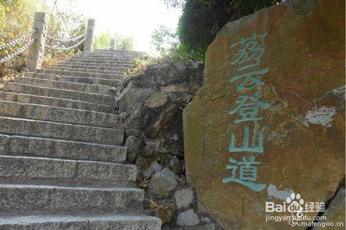 深圳塘朗山登山經驗