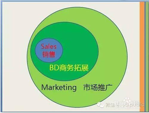 兩張圖看明白銷售-BD-市場的關係
