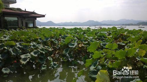 杭州西湖景區旅遊攻略