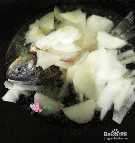 春季養生湯---鯽魚蘿蔔湯怎麼做