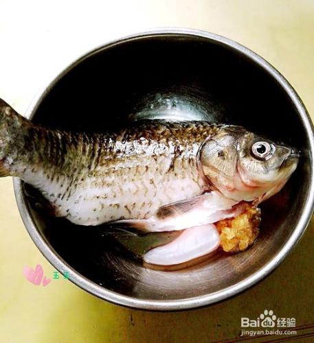 春季養生湯---鯽魚蘿蔔湯怎麼做