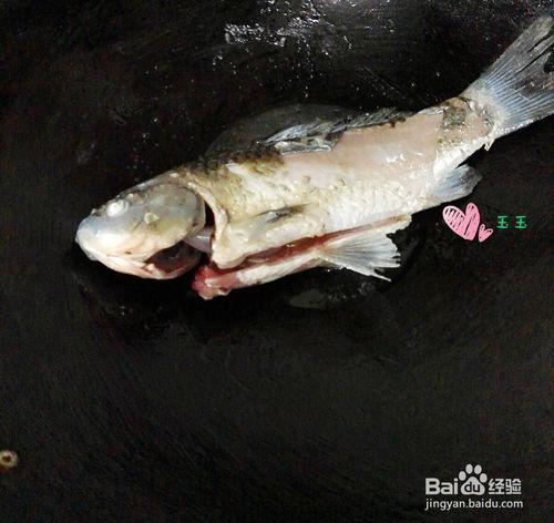 春季養生湯---鯽魚蘿蔔湯怎麼做